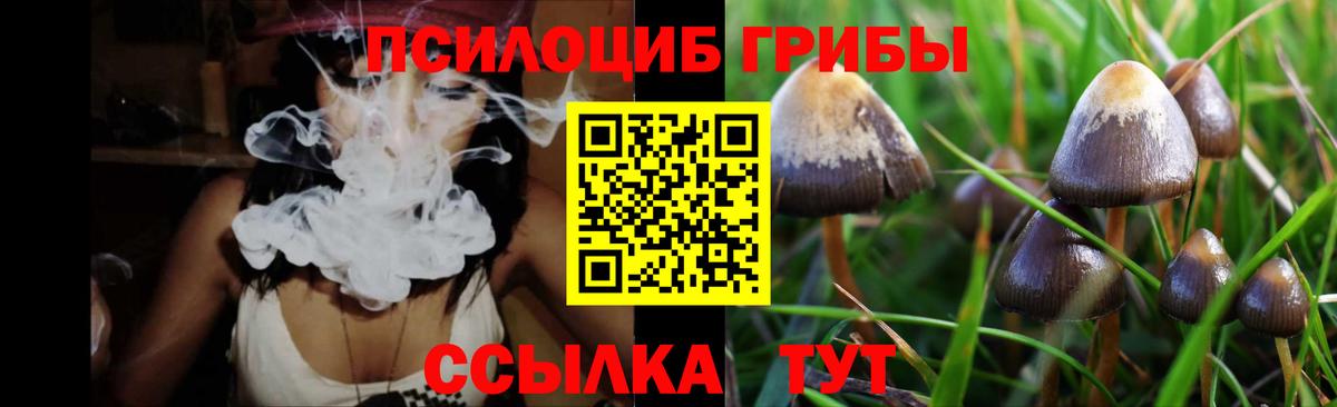 Псилоцибиновые грибы GOLDEN TEACHER  Галлюциногенные грибы MAGIC MUSHROOMS  даркнет сайт  Вход с VPN  Валуйки 